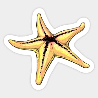 Reva Prisma sea star emoji Sticker